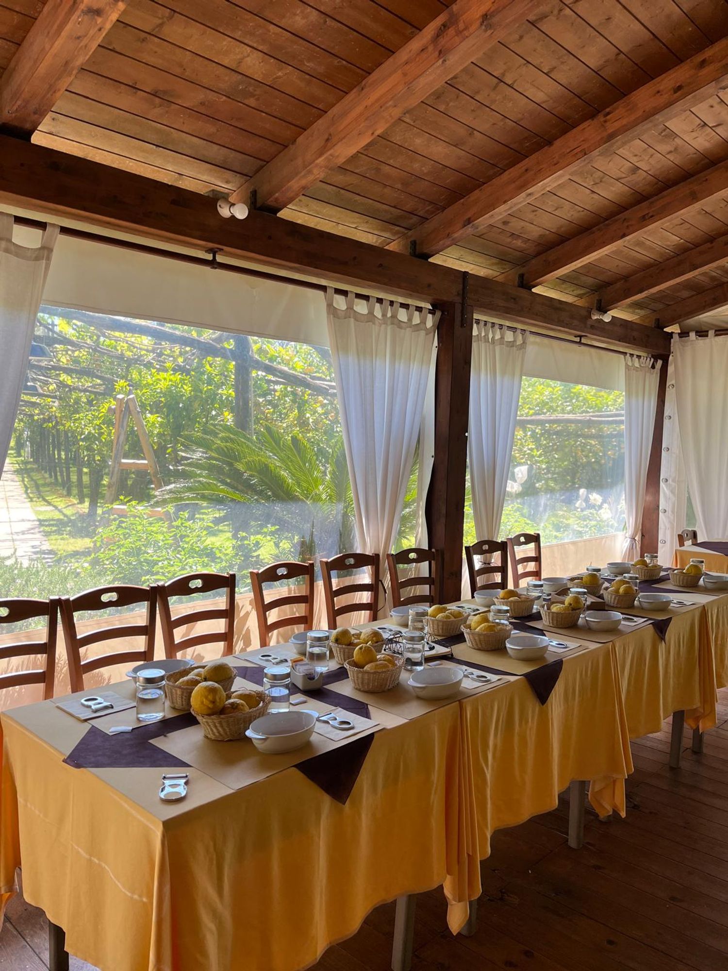 Sapori Sorrentini: Tour con Pranzo e Degustazione Biologica