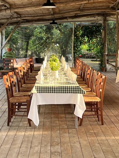 Sapori Sorrentini: Tour con Pranzo e Degustazione Biologica-2