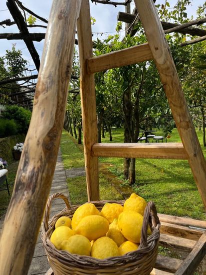 Sapori Sorrentini: Tour con Pranzo e Degustazione Biologica-1