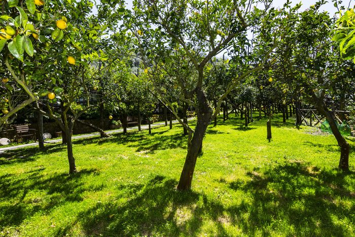 Agriturismo Il Convento-5